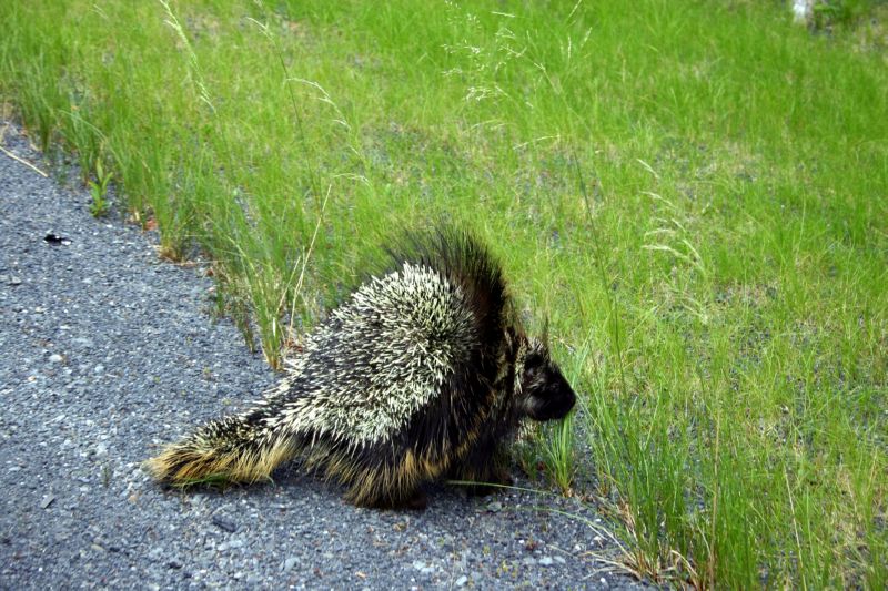 070304 Hope Seward Hope (10098)